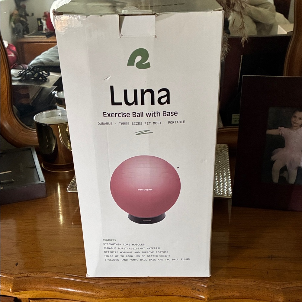Luna Pink Exercise Ball with Base